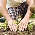 10 Surprising Ways Gardening Is One of the Healthiest Things You Can Do