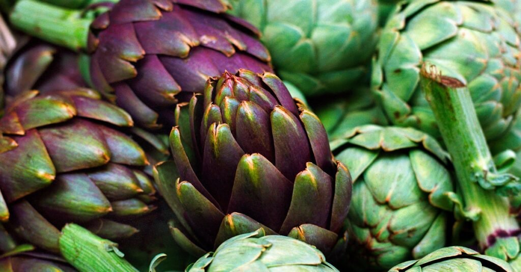 Best Options and Nutrition