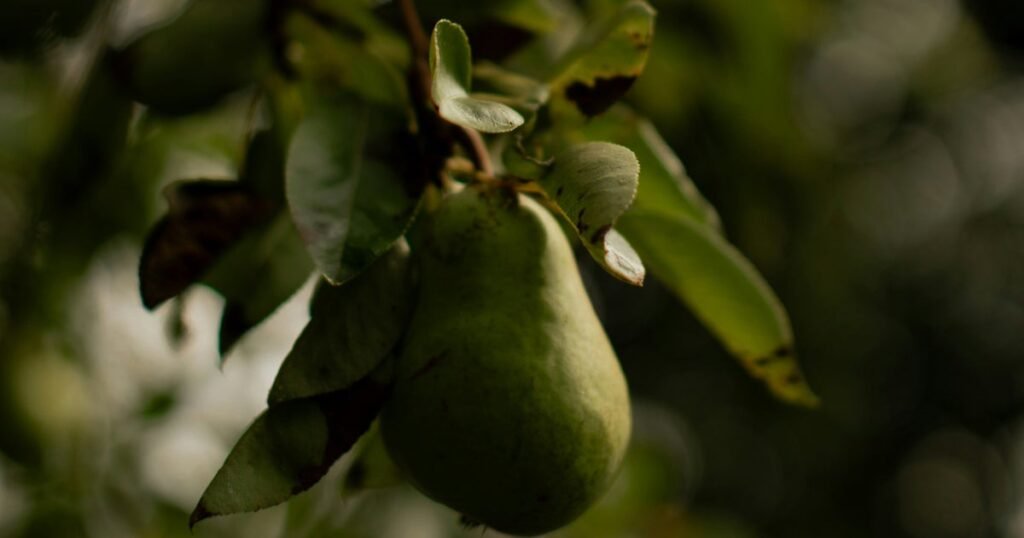 The Fruit Linked To Better Heart Health, Lower Diabetes Risk, And Great Poops The Fruit Linked To Better Heart Health, Lower Diabetes Risk, And Great Poops