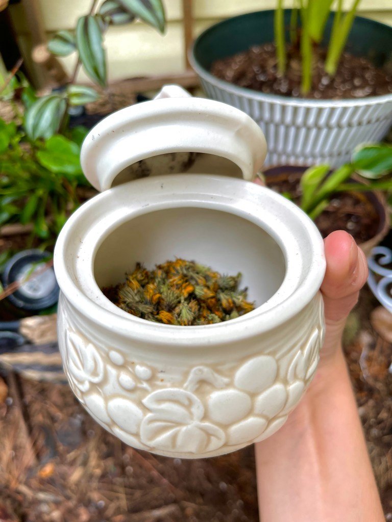Dried Dandelion Flowers In A Jar