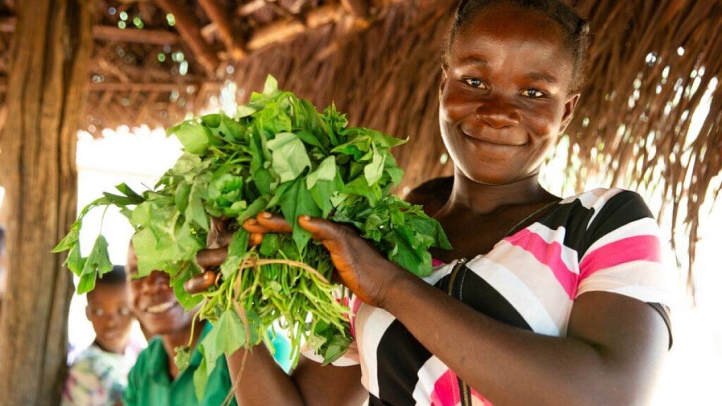 The Best Ireland can be for Food and Nutrition Security