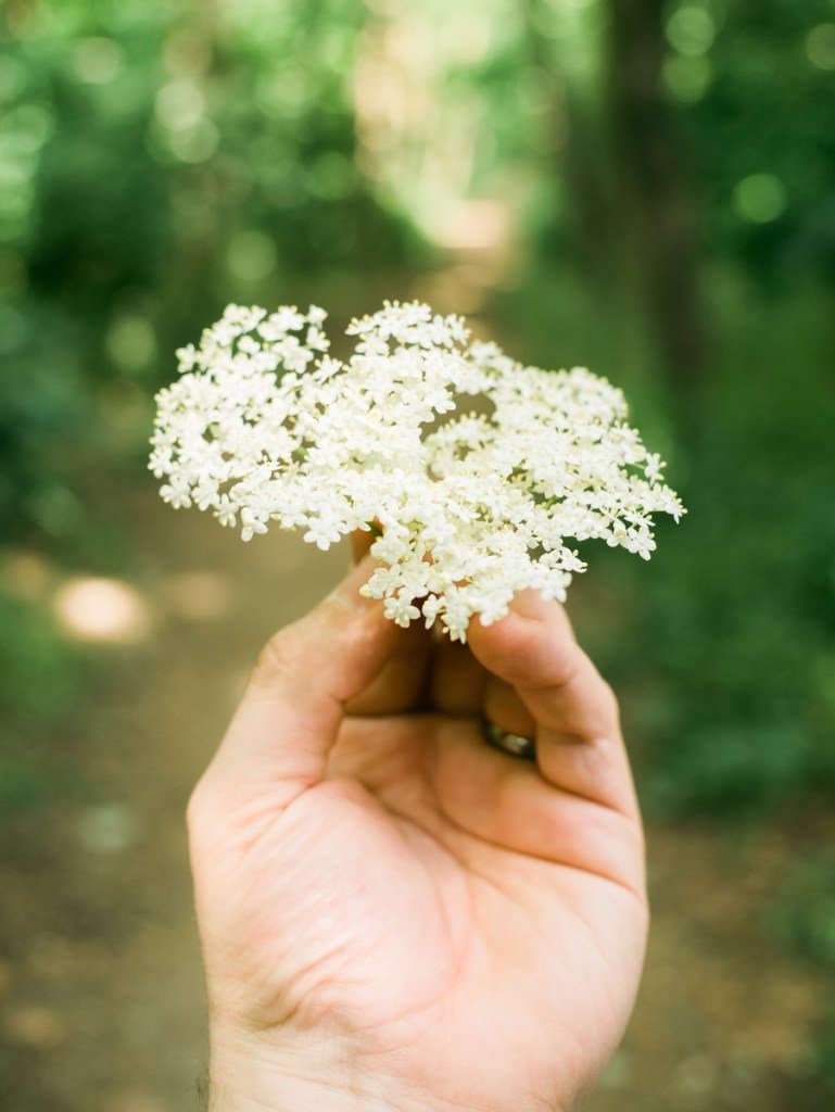 Person Holding White Flower During Daytime