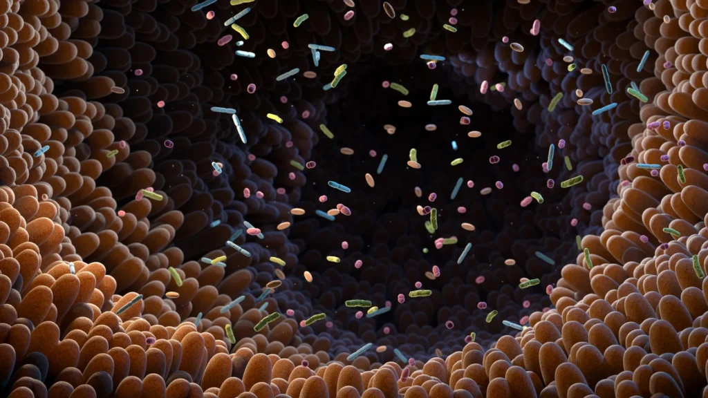 Gut bacteria may unlock a hidden benefit of vegetables Gut bacteria may unlock a hidden benefit of vegetables
