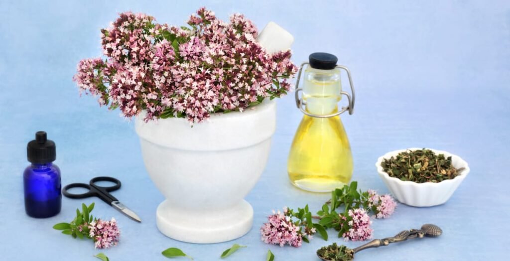 Top 20 Anti-Inflammatory Herbs Top 20 Anti-Inflammatory Herbs