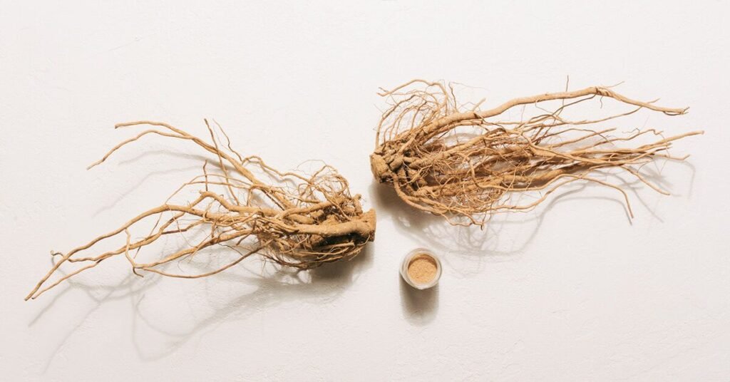 9 Proven Health Benefits of Ashwagandha 9 Proven Health Benefits of Ashwagandha