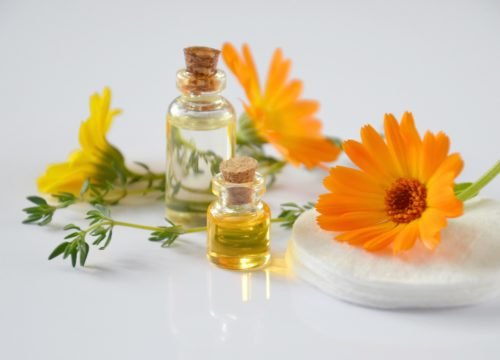 Autumn, a time to harvest magical and medicinal herbs Autumn, a time to harvest magical and medicinal herbs