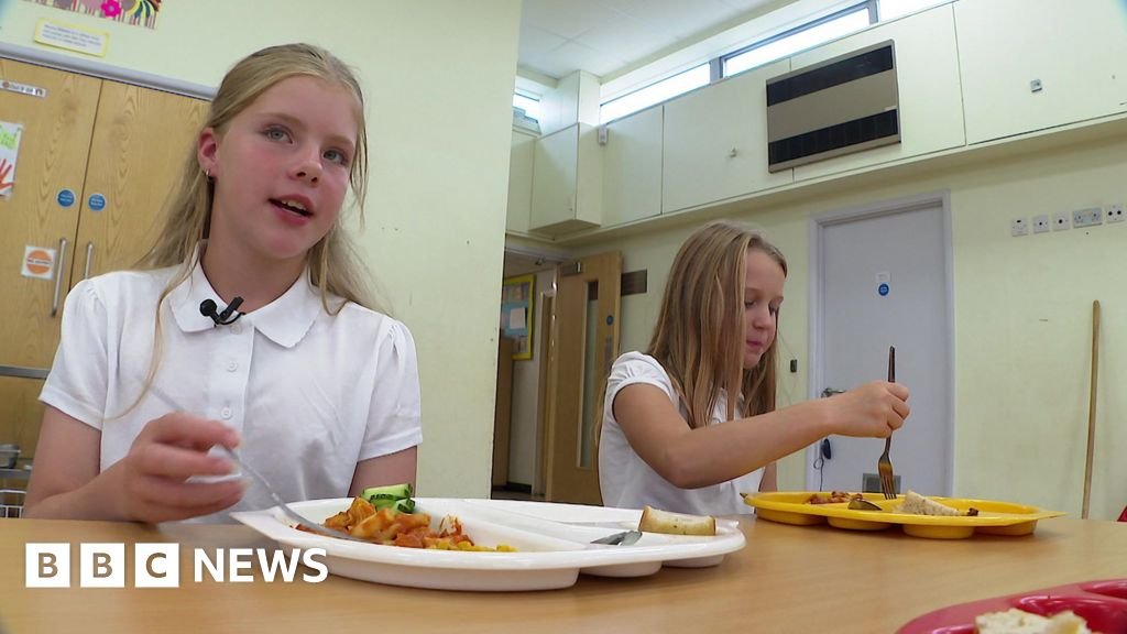 The healthy Devon school where kids eat ‘kilos of olives’ The healthy Devon school where kids eat 'kilos of olives'