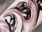 NZ Ice Cream & Gelato Awards 2026: Supreme Champions Named
