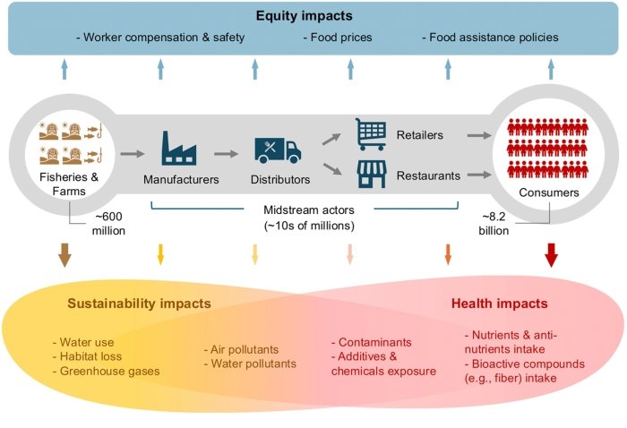 Infographic detailing factors of food system inequities.