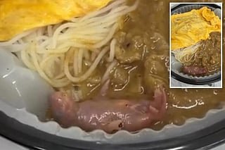 A horrified diner discovers a newborn rat squirming in her takeout meal.