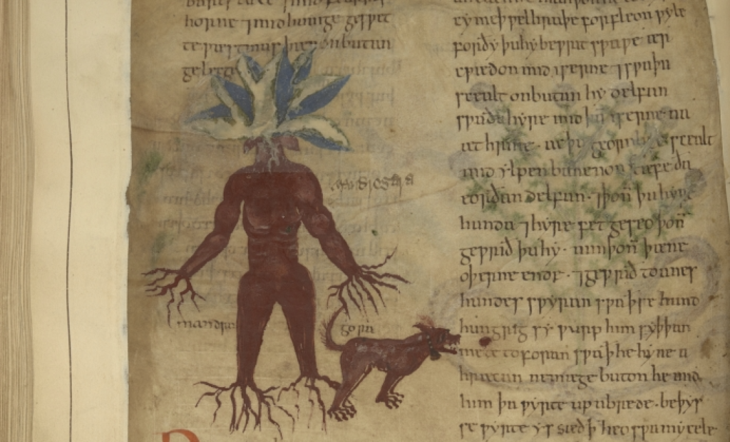 1,000-Year-Old Illustrated Guide to the Medicinal Use of Plants Now Digitized & Put Online 1,000-Year-Old Illustrated Guide to the Medicinal Use of Plants Now Digitized & Put Online