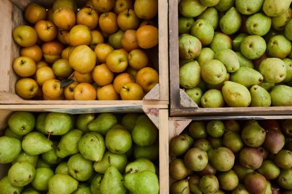 10 fall fruits and vegetables nutrition experts love 10 fall fruits and vegetables nutrition experts love