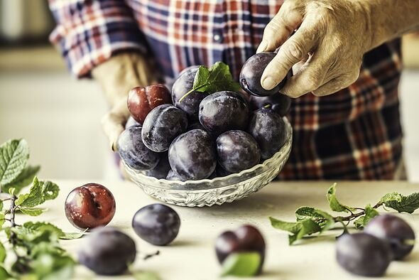 The hands of an elderly farmer hold a bowl of plums.