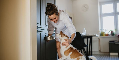Pet Nutrition Guide: Feeding Your Dog or Cat Right Pet Nutrition Guide: Feeding Your Dog or Cat Right