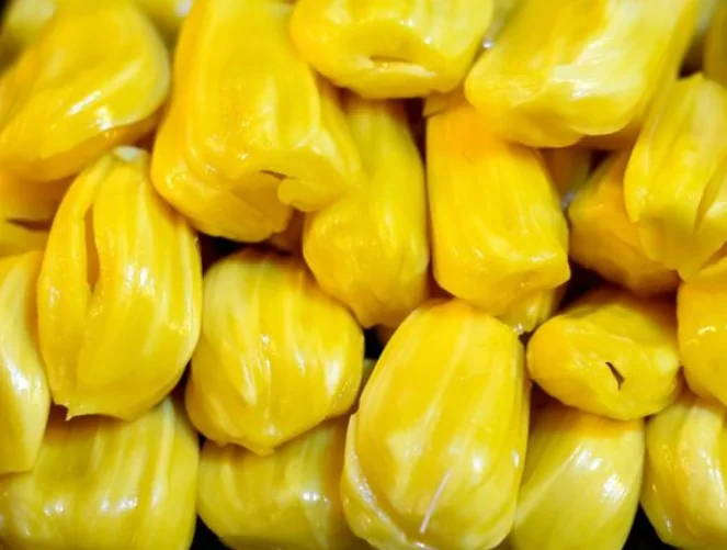 Fenesi: Nine health benefits of eating jackfruit Fenesi: Nine health benefits of eating jackfruit