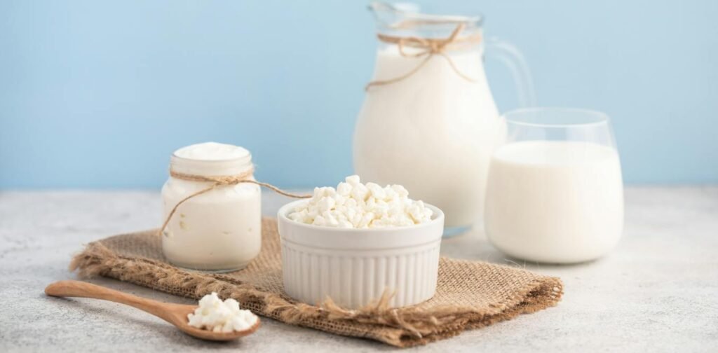 why fermented foods could boost muscle health why fermented foods could boost muscle health