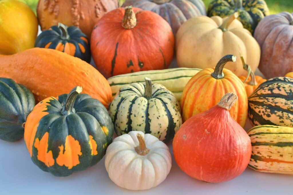 7 Healthy Winter Squash to Try This Fall Season 7 Healthy Winter Squash to Try This Fall Season