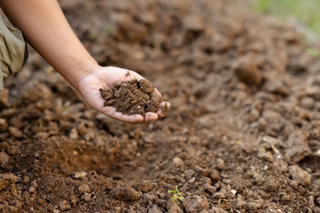  Could GLP-1 drugs finally put a price on crop nutrient density?